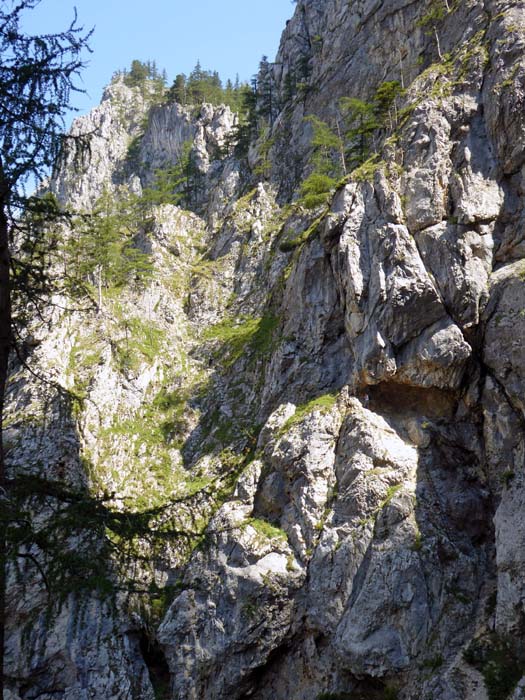 ... einem der beliebtesten Klettersteige (B) in den Wiener Hausbergen