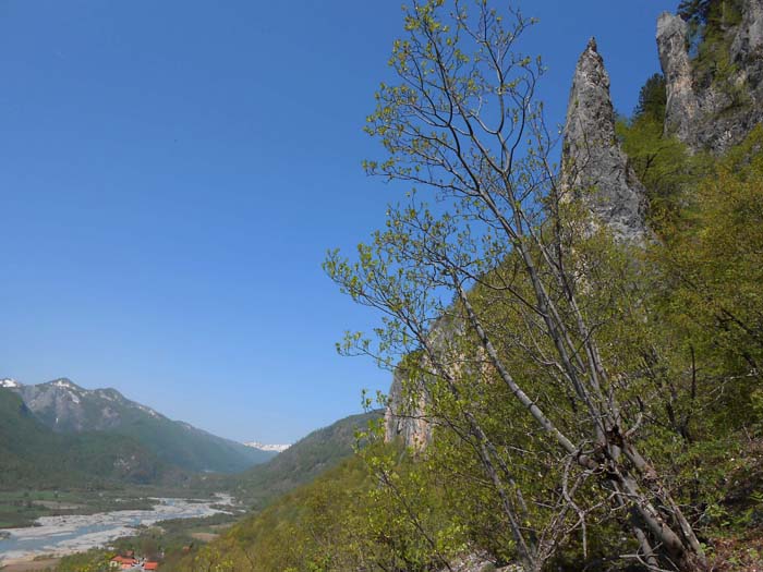 oberhalb der Häuser von Radončići, auf Rufweite zur albanischen Grenze, zieht 150 Hm oberhalb der Straße ein breites Felsband durch die sonnseitige Flanke; Lage siehe Karte