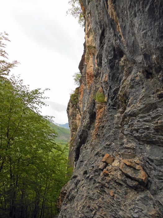 ... die Einstiege zu den 13 Routen zwischen 4 und 9- sind aber baumfrei ...