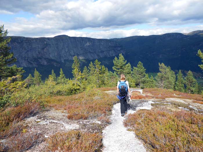 Abstieg übers Plateau, Blick nach N zur breiten Homfjelletwand