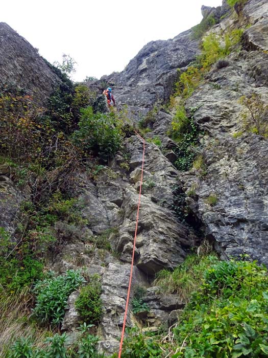 der Einstieg zur Pincelli-Brianti; das viele Grün zu Beginn stört keineswegs