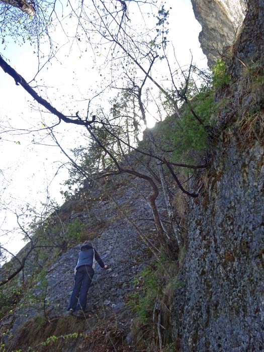 wieder zurück am Pfeilerfuß peilt Ulli den linken Klettergarten (rechts oben) an wieder zurück am Pfeilerfuß peilt Ulli den linken Klettergarten (rechts oben) an