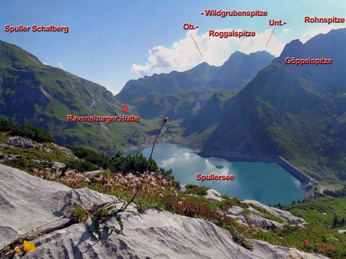 weiter oben lichtet sich das Alpenrosengestrüpp; Blick gegen ONO