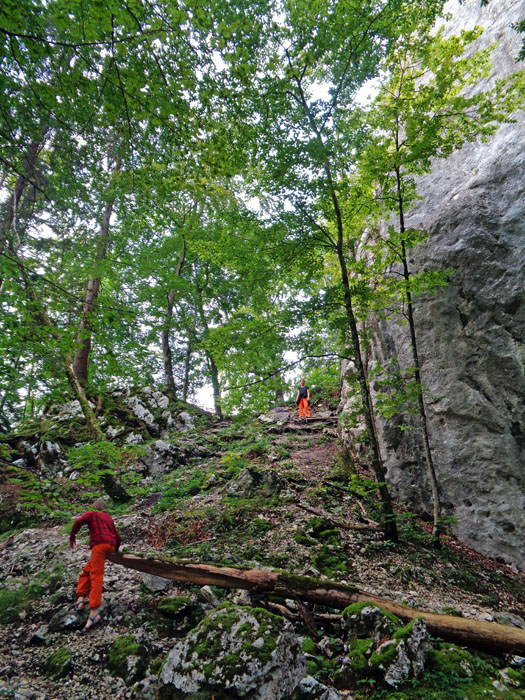 gleich hinter den Steinklüften steigen wir links vom Fußpunkt der Südostkante in Kürze hinauf zum Einstieg von „Juniperus“ (Taferl; die Einstiege von Flipperl, 5+, und Äskulap, 4+, gleich links daneben)