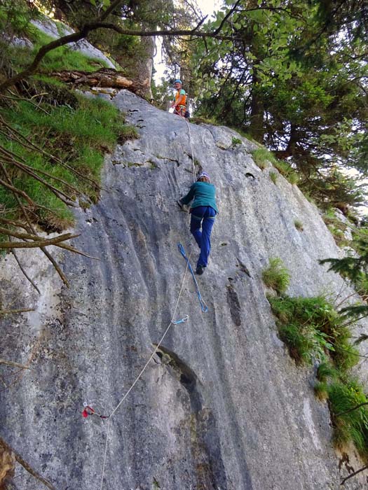 schöne Züge an der glatten Rillenplatte