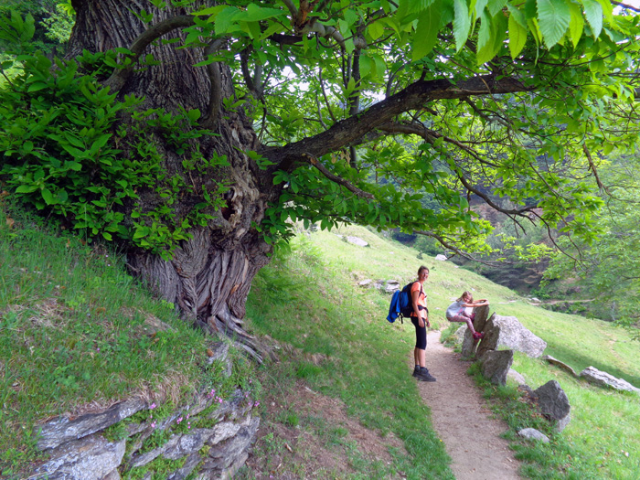 ein gemütlicher Wanderweg führt in wenigen Minuten hinüber zum ...