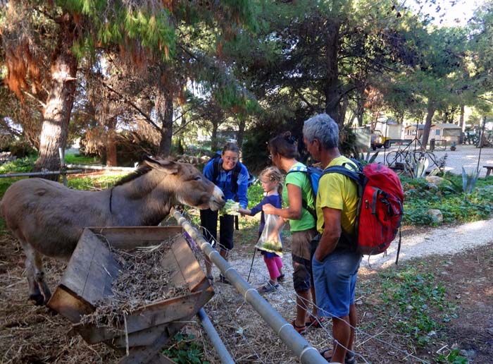 mit Maria und Josef auf dem Weg zu den Sektoren: Campeselin Brunella freut sich über jeden Besuch