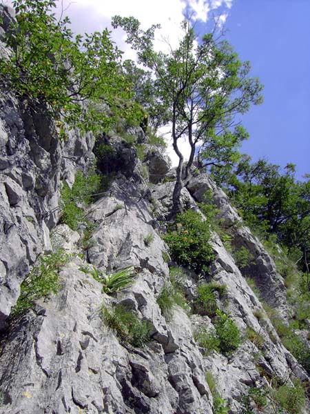 am Einstieg des Klettersteiges