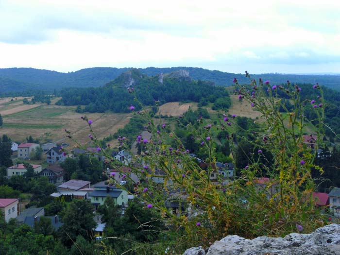 von der Burgruine Olsztyn aus entdeckt man im SW die meist im Wald verborgenen, keck aufragenden Spitzen der Falkenberge