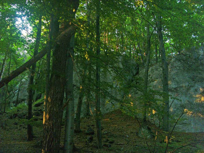 hinter den sieben Bergen, tief im Wald verborgen, trainieren polnische Kletterer für ihre oft herausragenden Leistungen an den Weltbergen