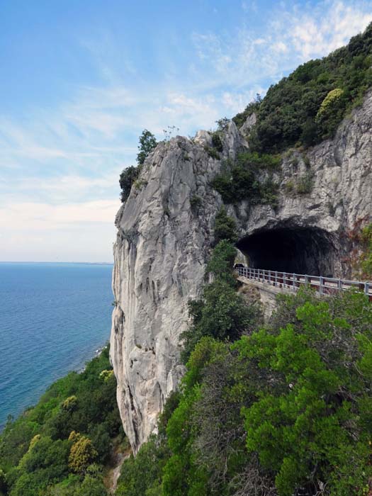 nicht zu verfehlen: am auffallenden Tunnel der Küstenstraße 15 km nördlich von Triest das Gebiet Costiera. Durch den Wandstreifen links des Tunnels legte seinerzeit Emilio Comici eine 2-Seillängen-Route; wir starten einen Rundgang zum Wandfuß im Uhrzeigersinn