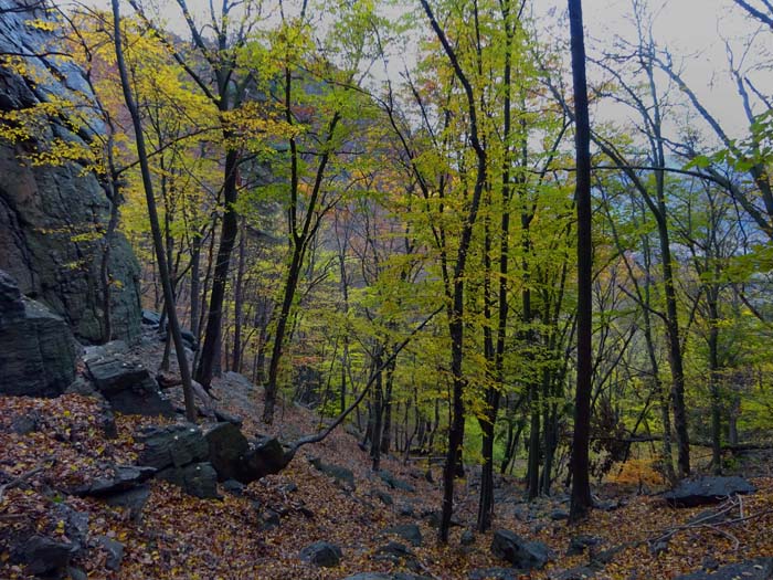 düsterer Zustieg im herbstlichen Morgennebel: am Fuß des Kummerstalturm - links zum Don Bosco Grat, ...