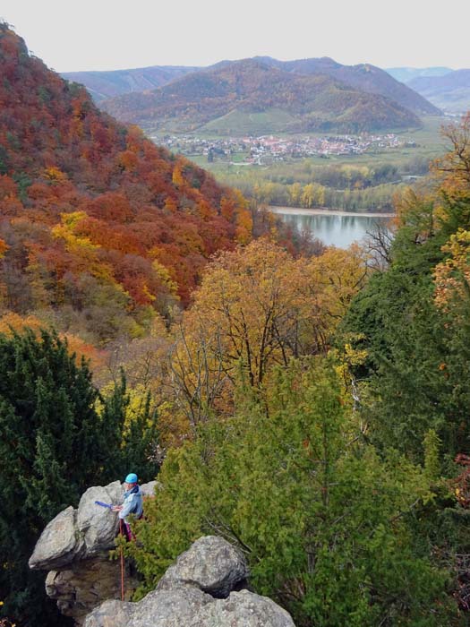 im untersten Gratteil ragen die Turmgipfel kaum über die Baumwipfel hinaus; Tiefblick vom Kamel auf den 1. Stand