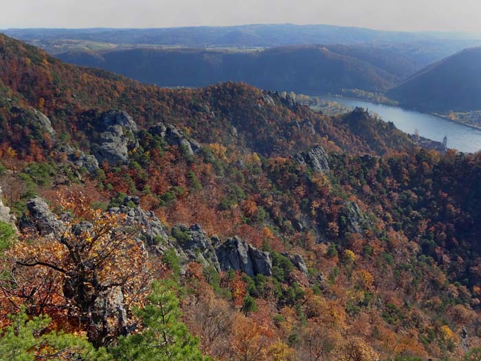 „Gipfelblick“ auf Don Bosco Grat (vorne), den Vogelbergsteigkamm und den Klettergarten Dürnstein samt Ruine