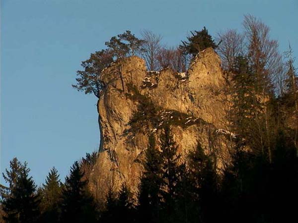 bis zu 30 m hohe Wände ragen aus dem Hochwald