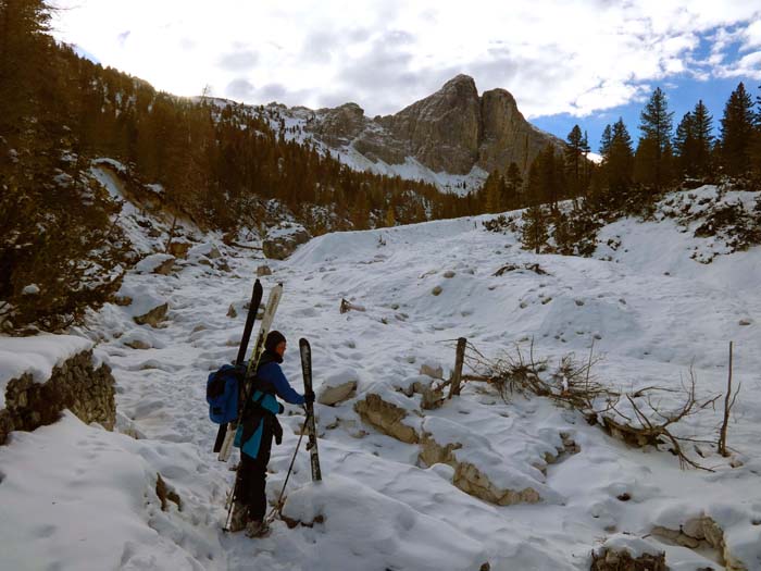 die Pale di Misurina aus dem unteren Val Popena