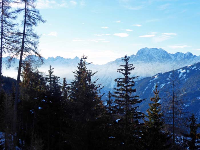 Blick von der Forststraße gegen Süden auf die Lienzer Dolomiten