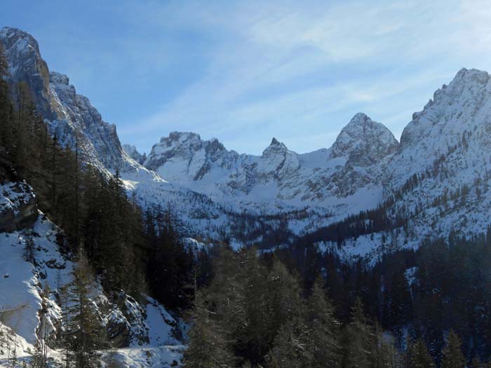 nach S zieht eine Forststraße hinein in die Laserz Richtung Karlsbader Hütte - unter wilde Felsberge, wie Seekofel und Teplitzer Spitze; wir allerdings werden uns gleich im ersten Waldstreifen links hinauf halten