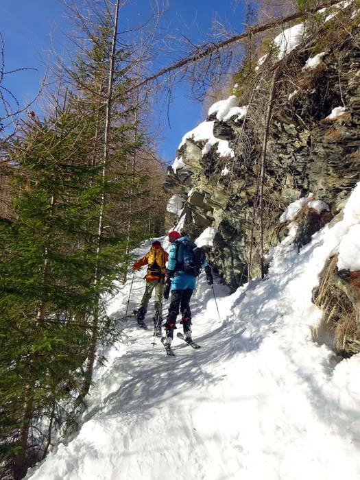 der schmale Sommerweg hoch über dem Karthäusenbach ist beim Aufstieg sehr effizient, verheißt aber für die Abfahrt nur bescheidenen Genuss