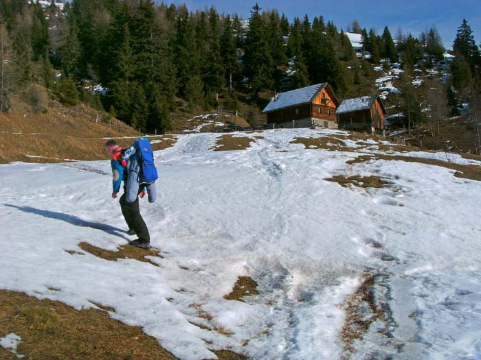 eine Etage höher - der Bergwald lichtet sich  - die Oberraunerhütte