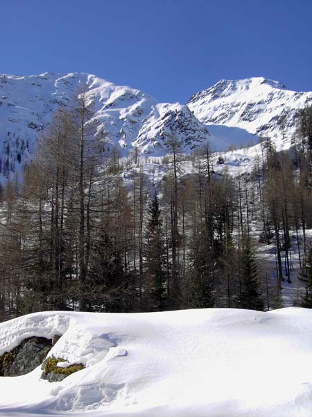 ssw. über der Alm das einladende Stollental mit dem Schroneck (rechts), ebenfalls ein toller Schiberg, ...