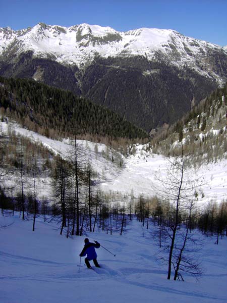 Abfahrt zur Alm, darüber der Teuchlspitz