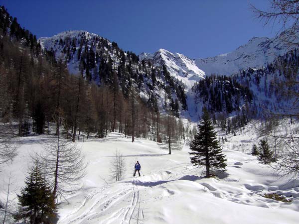 zurück auf der Alm, ...