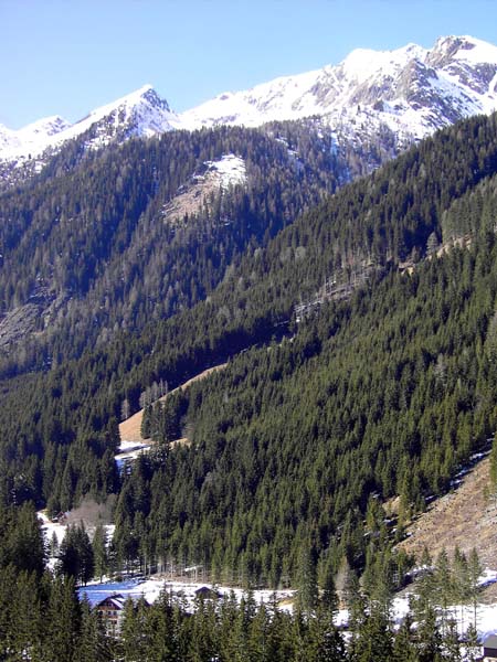 der Gasthof Alpenheim versteckt sich in den Bäumen am Ende der öffentlichen Straße ins Teuchltal: Blick nach NW zum Kehlluckerlkopf