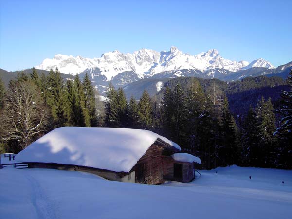 Spießalm mit Gosaukamm