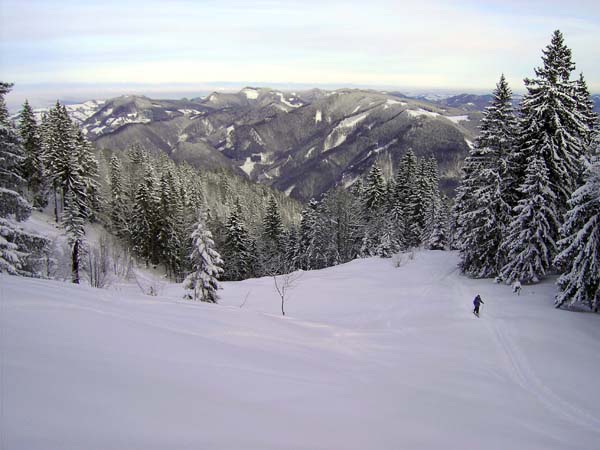 am unteren Rand des Ödbodens, der freien Gipfelflanke am Burgspitz; Blick nach O aufs niederösterreichische Alpenvorland