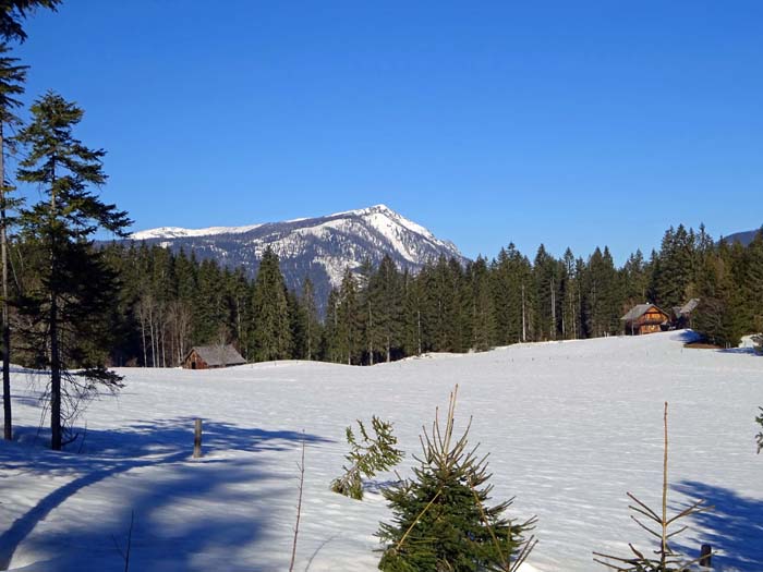 auf der Forststraße durch den Almgraben erreichen wir die Steinitzenalm; im Nordwesten der Zinken (s. Archiv Bergsteigen)