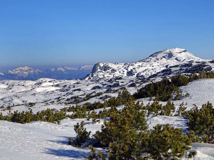 Blick gegen Nordosten zum Krippenstein, von Obertraun gleichfalls per Seilbahn zu erreichen