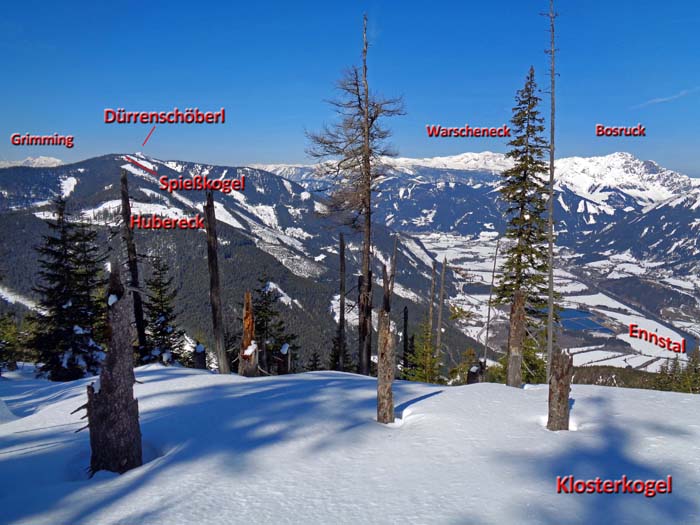 vom Klosterkogel erspähen wir erstmals den höchsten (und baumfreien) Gipfel des weitläufigen Waldmassivs