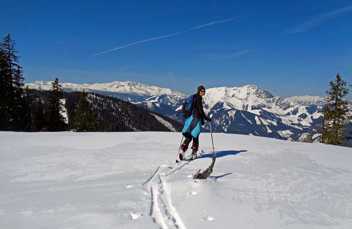 beim wieder etwas steileren Weiterweg eine aussichtsreiche Schulter auf etwa 1600 m: Bosruck und Warscheneck (links)