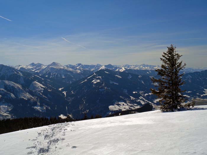 im SW setzen sich die Niederen Tauern fort: Wölzer und Schladminger