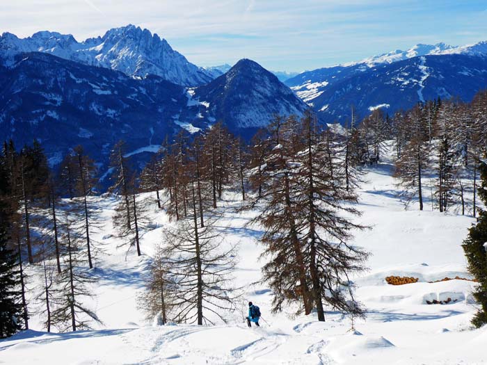 ... und die endlosen Waldschneisen hinunter in den Lienzer Talboden