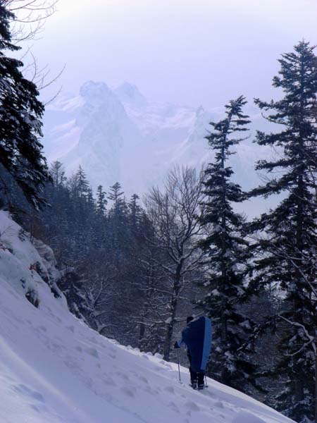 Blick von der Forststraße hoch über dem Aubachtal auf die „Schwer“ in den Nordabstürzen des Tennengebirges