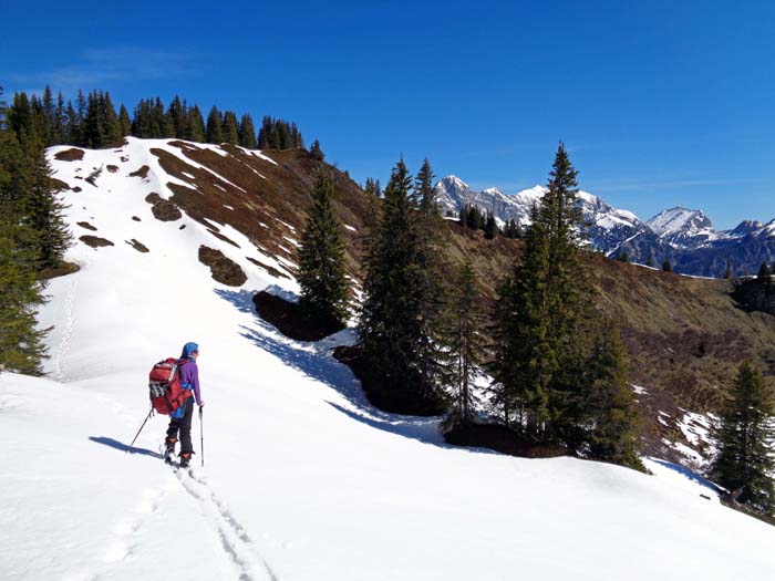 am Übergang zum Anhartskogel