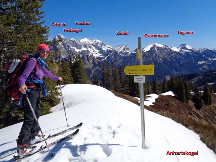 Gipfelblick Anhartskogel gegen Nordost