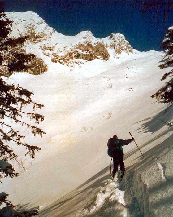 nach abenteuerlichem Waldanstieg queren wir in den Klauslahngang ein und streben dem Tor zwischen Elexenkogel und Segenbaumkogel zu