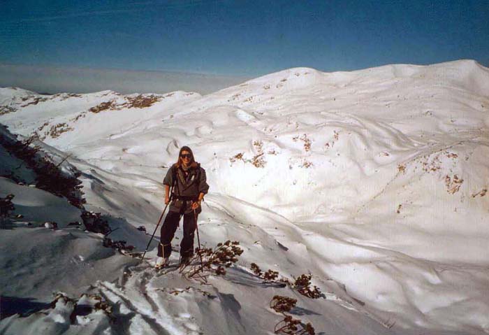 weiter geht's am Elexenkogel-Ostkamm: Plateau gegen Grünalmkogel ...