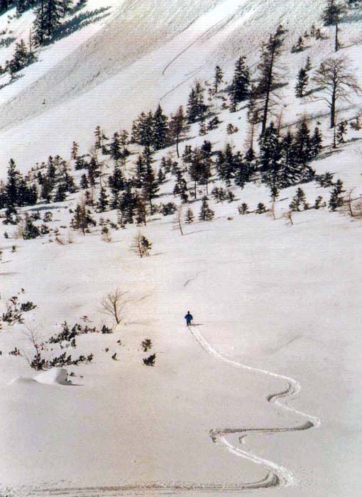 ... hinüber zum eigentlichen Brunnlahngang unterm Paulseckkogel