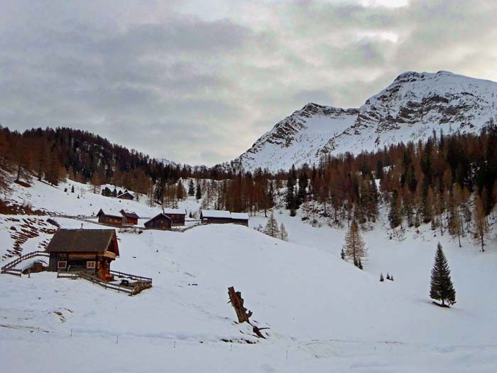 ... auf die Steiner Alm am Fuß des Jauken