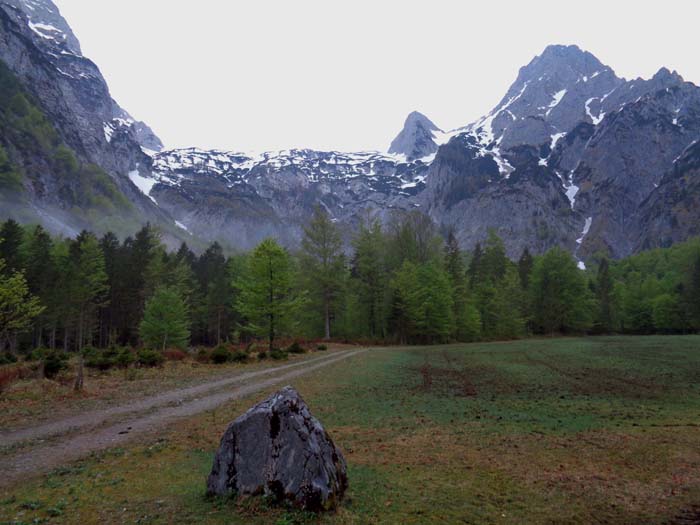 ... zur Dietlalm ins Blickfeld; rechts der Bildmitte Meisenberg und Spitzmauer