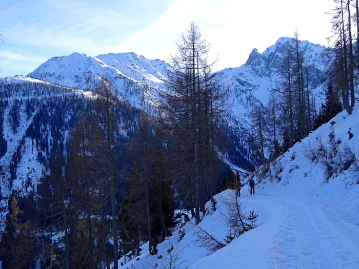 ... wieder die Forststraße erreicht; noch einmal Blick aufs Obergailer Tal mit Letterspitze und Steinwand