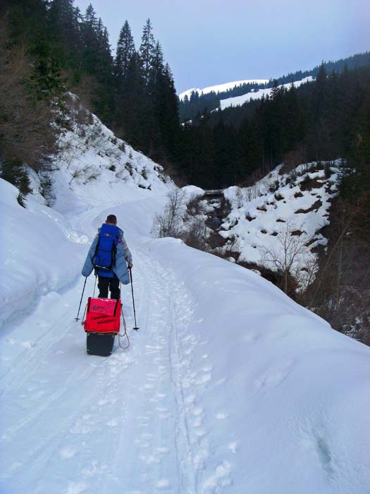 auf der Forststraße geht's hinein ins Mühltal