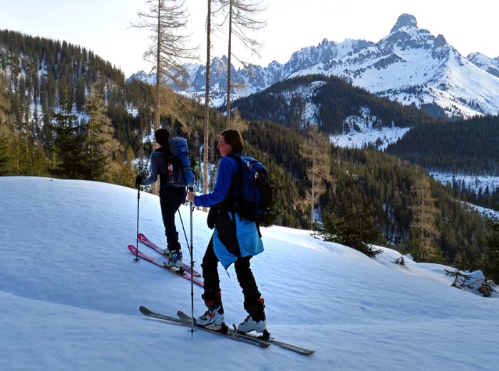 beim Aufstieg über den Schönleitenriedel: Blick gegen NO aufs bewaldete Lindegg und den Gosaukamm