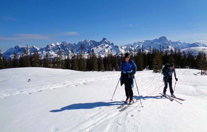 nochmals das Prachtpanorama von der Platten auf Gosaukamm und Dachstein