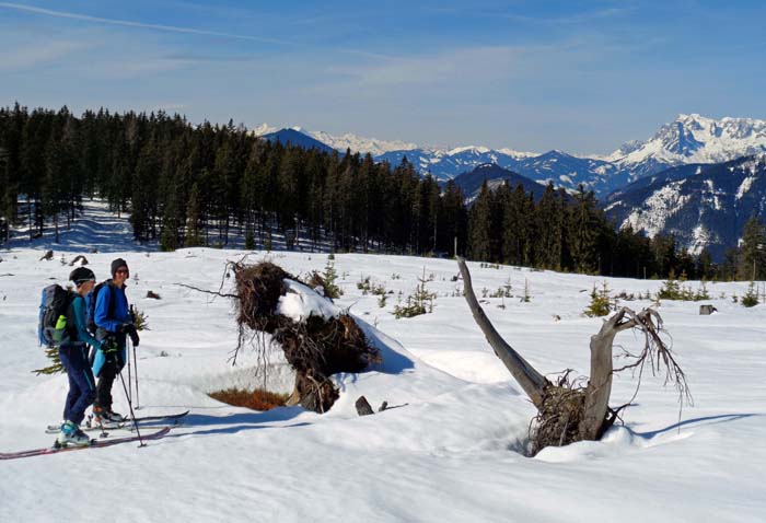 in der weiten Senke 1468 m zwischen Platten und Vorderkogel