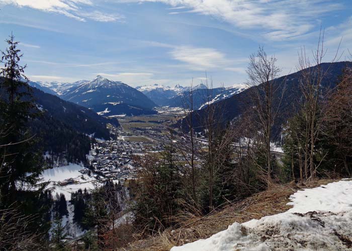 zum Gasthofberg über Eben im Pongau folgt man entweder südwestlich den weiten Forststraßenkehren oder schummelt sich etwas unübersichtlich durch dichten Wald direkt hinunter